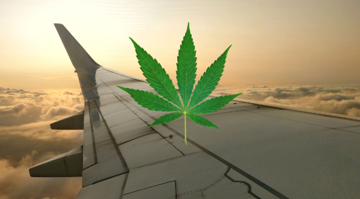 Can You Bring Cbd on International Flight