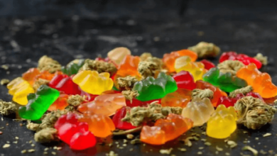 Can You Bring Cbd Gummy Bears on a Plane