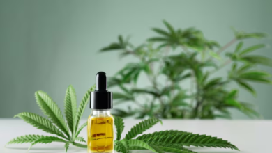 How to Get Cbd Oil in Florida