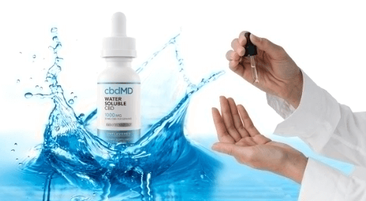 How to Make Cbd Water Soluble