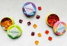 cannabidiol infused gummy candies