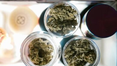 cannabidiol product retail store