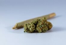 cannabinoids effects and benefits