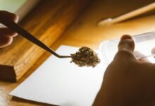 cbd detection in hair