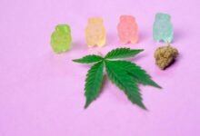 cbd gummies safety for dogs