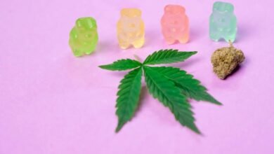 cbd gummies safety for dogs
