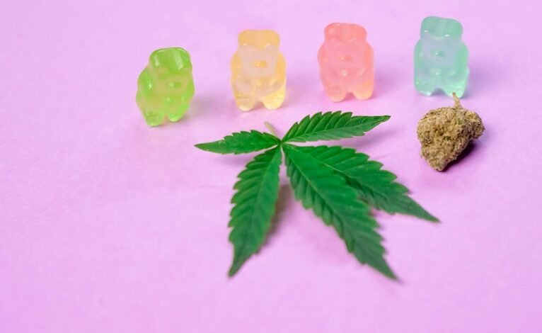 cbd gummies safety for dogs