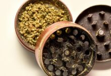 cbd isolate shelf life