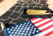 cbd legality across states