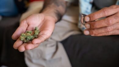 cbd legality in portugal