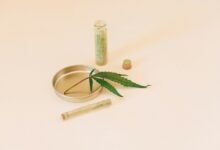 cbd oil and water