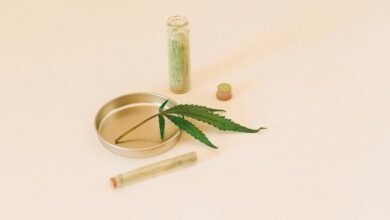 cbd oil and water