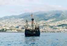 cbd regulations on cruises
