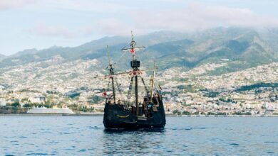 cbd regulations on cruises