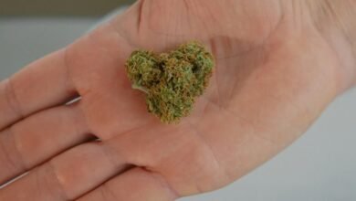 cbd s diuretic properties questioned