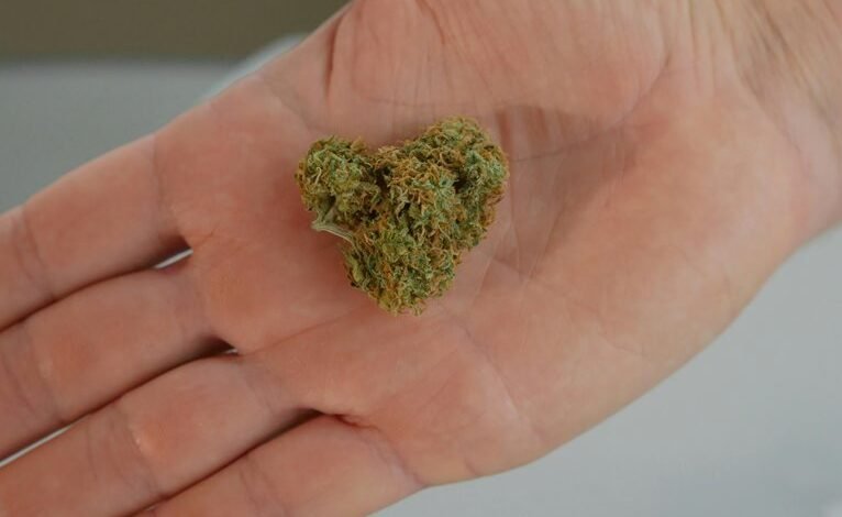 cbd s diuretic properties questioned