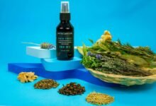 cbd travel regulations mexico