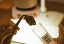 cbd urine test detection
