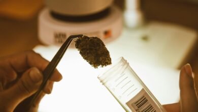 cbd urine test detection