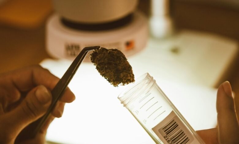 cbd urine test detection