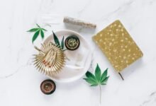 daily cbd consumption safe