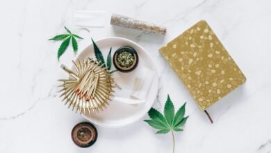 daily cbd consumption safe