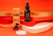 giving cbd oil dogs