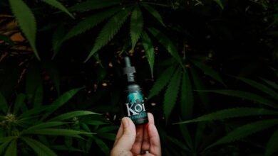 koi cbd legitimacy inquiry