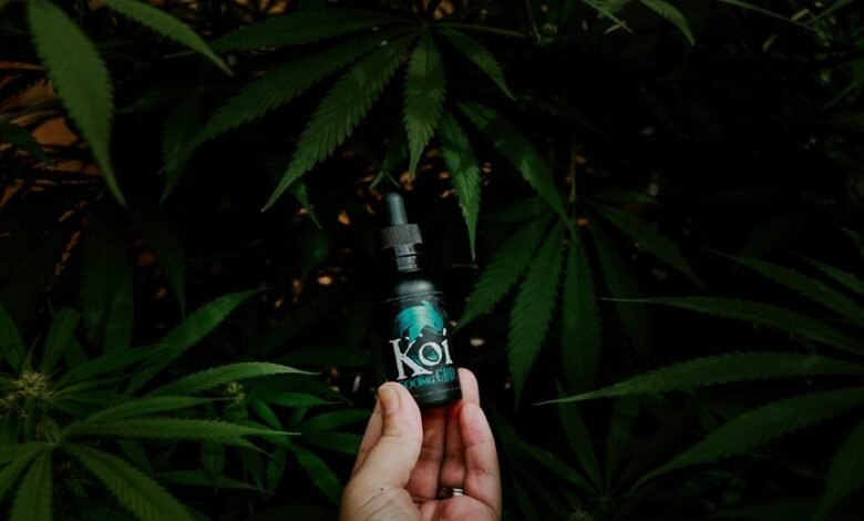 koi cbd legitimacy inquiry
