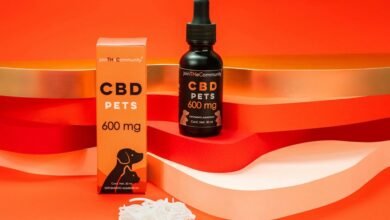 veterinary advice on cbd
