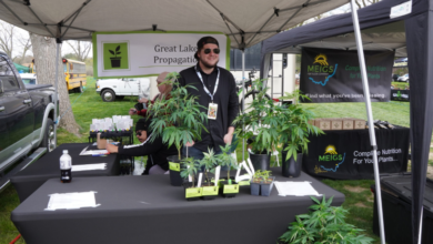 Ohio’s Marijuana Market in 2025: Medical Benefits, Cost Savings, and the Arrival of Pre-RollsIntroduction