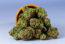 Understanding Ratios and Potency in Medical Cannabis Care