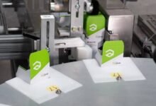 Ways in Which Automated Cannabis Packaging Systems Help Reduce Labour Costs and Boost Efficiency